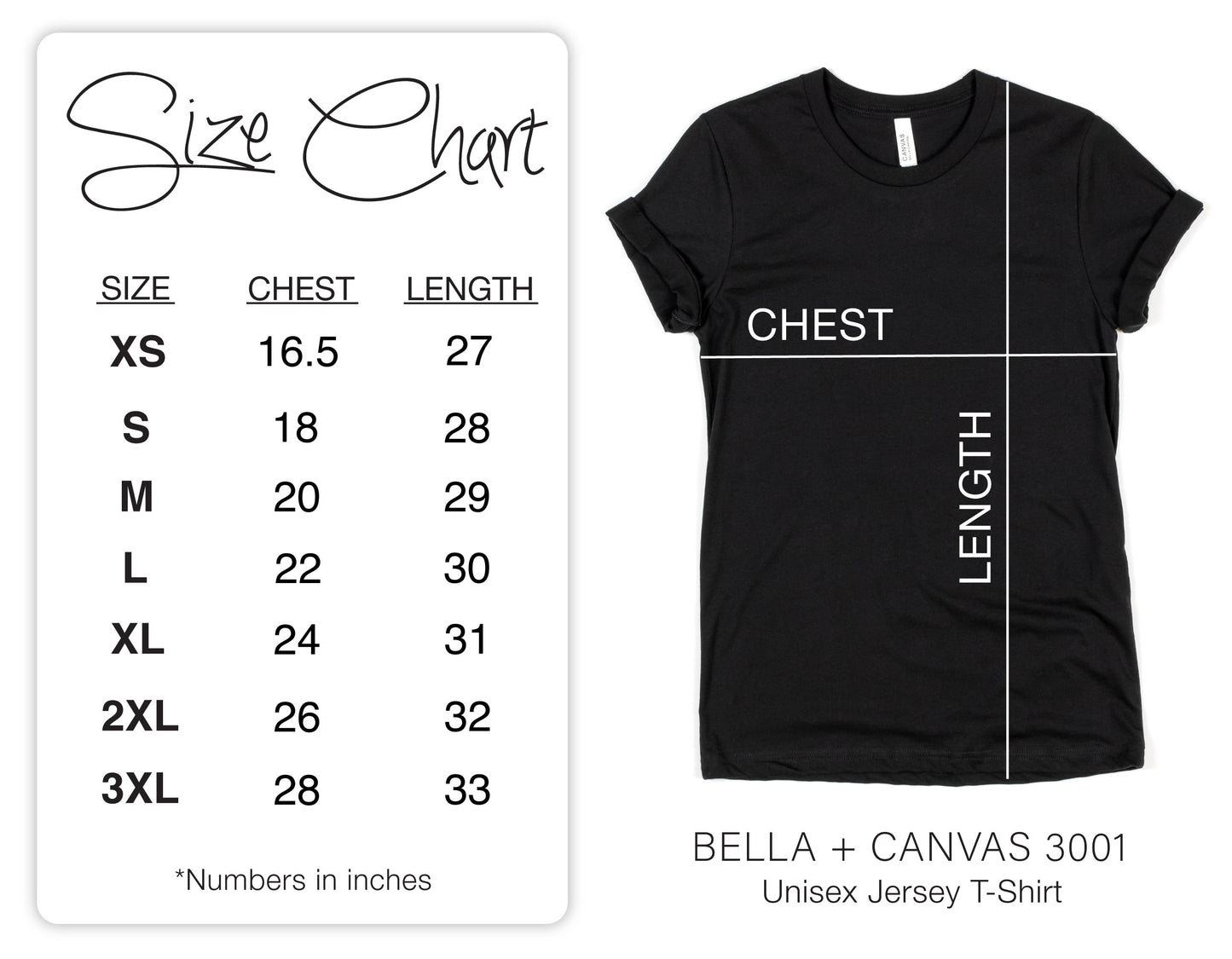 Pisces Tshirt for Birthday Gift for Horoscope lover T Shirt for Astronomer T-Shirt Zodiac Retirement Gift Astrologer Fan Boho Gift for Her